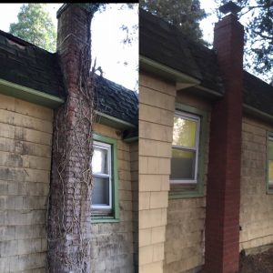 A side-by-side comparison of a house chimney: the left shows it covered in overgrown vines, while the right shows the same chimney cleaned and newly repaired with fresh red bricks.